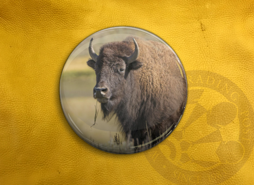Winnipeg Trading Post