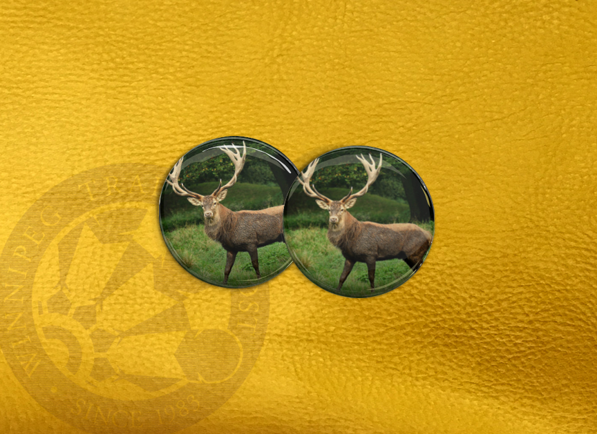 ECAB AN - Deer 15683