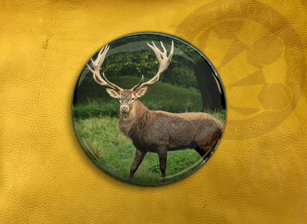 ECAB AN - Deer 15683 - 4