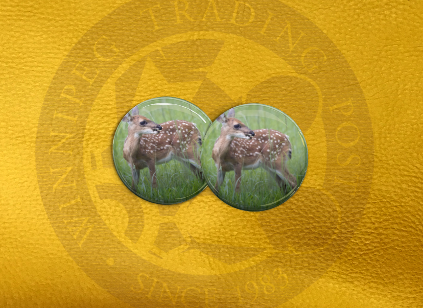 ECAB AN - Deer 15690