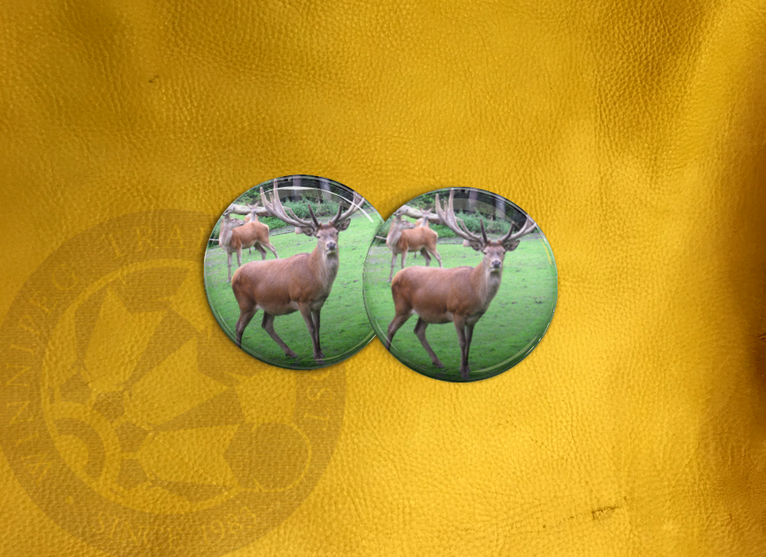 ECAB AN - Deer 15697