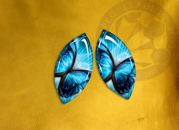 ECAB AN - Butterfly Blue Teal Power - 5