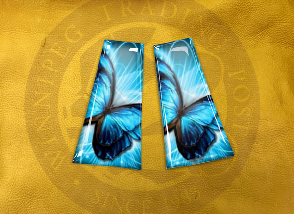 ECAB AN - Butterfly Blue Teal Power - 6