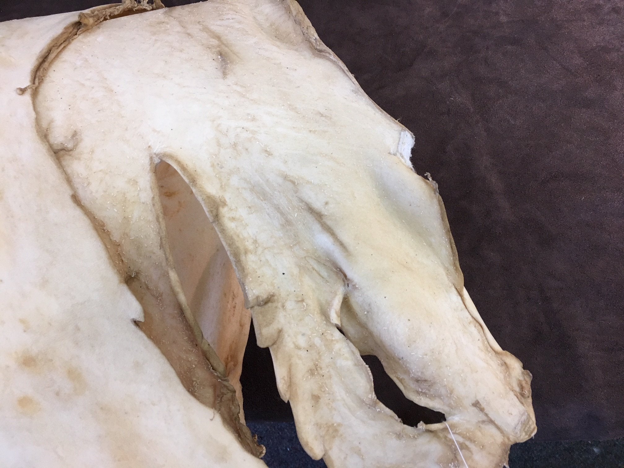 Raw Hide - Buffalo (FULL)