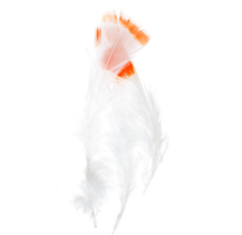Buy orange-300205h FEA Marabou Feathers - Two Color
