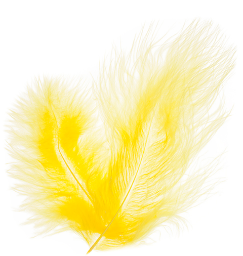 Buy yellow-3001-04h FEA Marabou Feather Solid 6grams