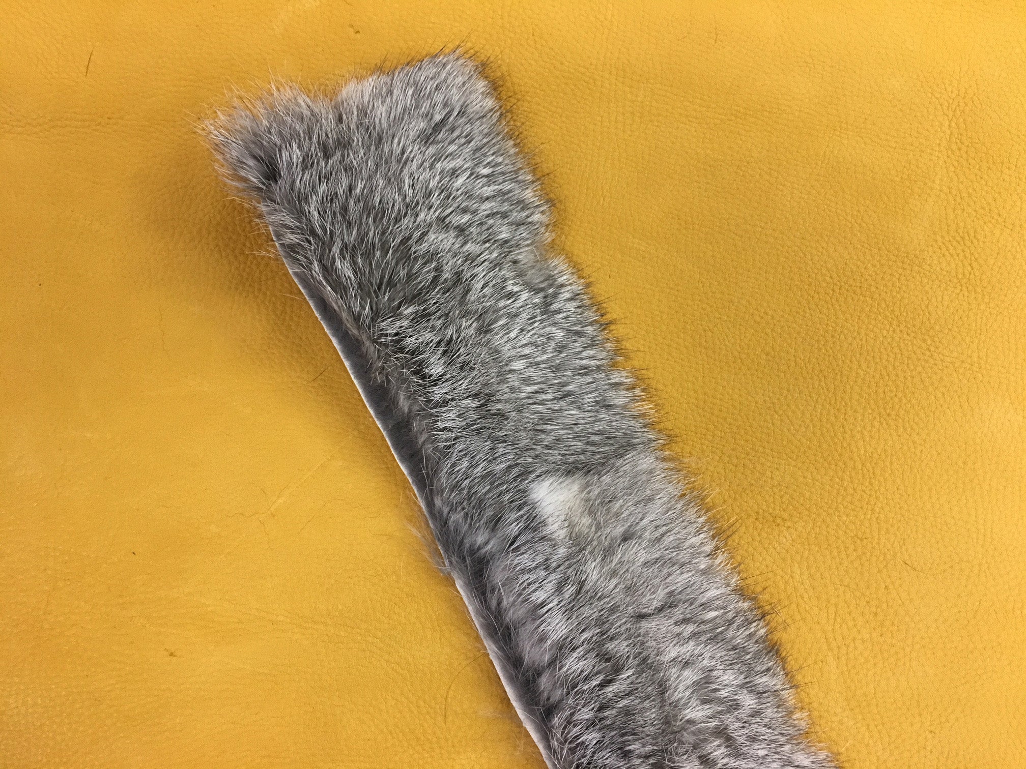 Winnipeg Trading Post