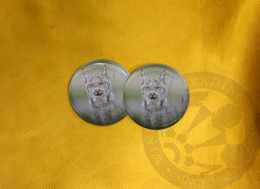 ECAB AN - Lynx 15704