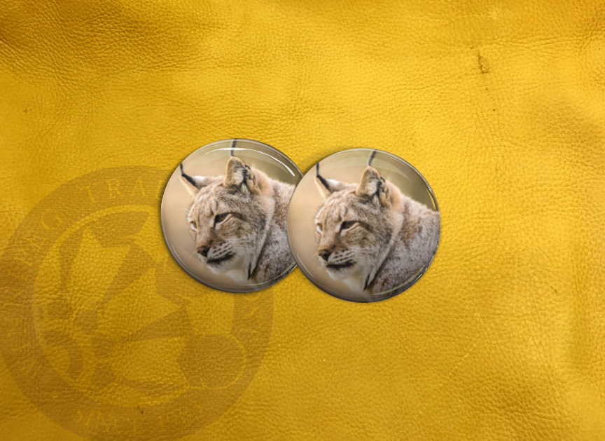 ECAB AN - Lynx 15711