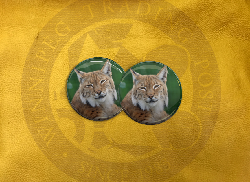 ECAB AN - Lynx 15718