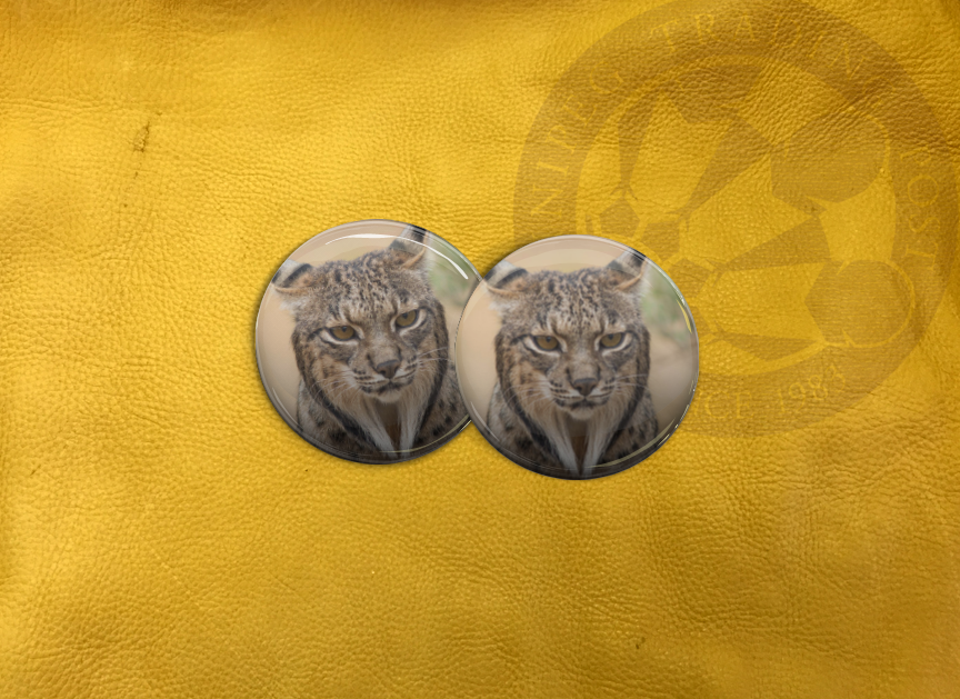 ECAB AN - Lynx 15725