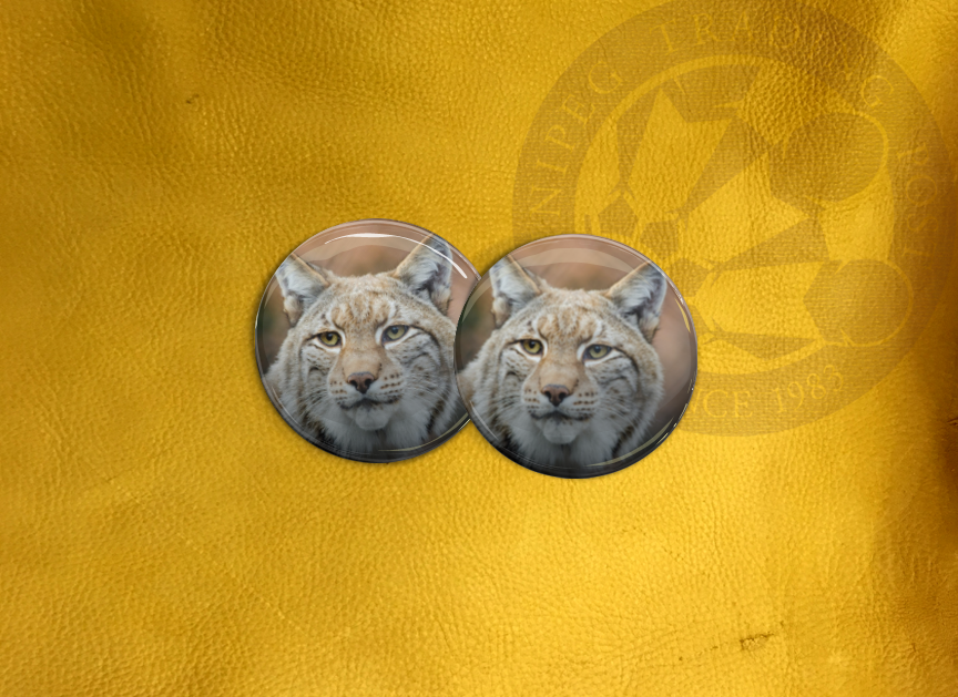 ECAB AN - Lynx 15732