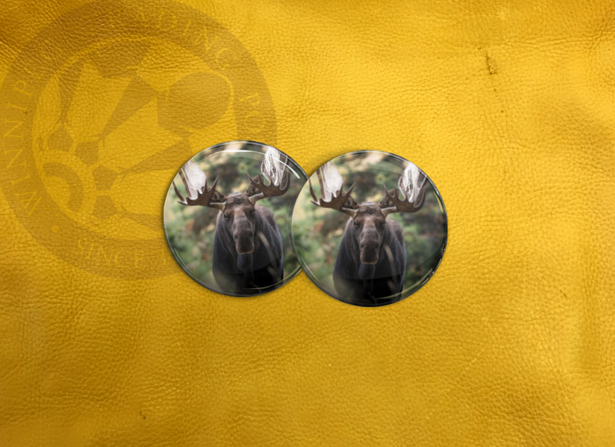 ECAB AN - Moose 15746