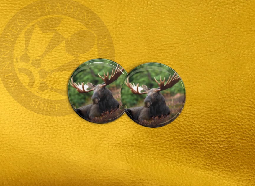 ECAB AN - Moose  15753