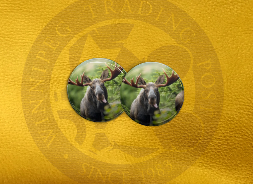 ECAB AN - Moose 15767