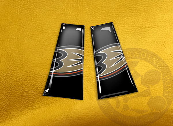 ECAB SP - NHL Anaheim Ducks 2 - 6