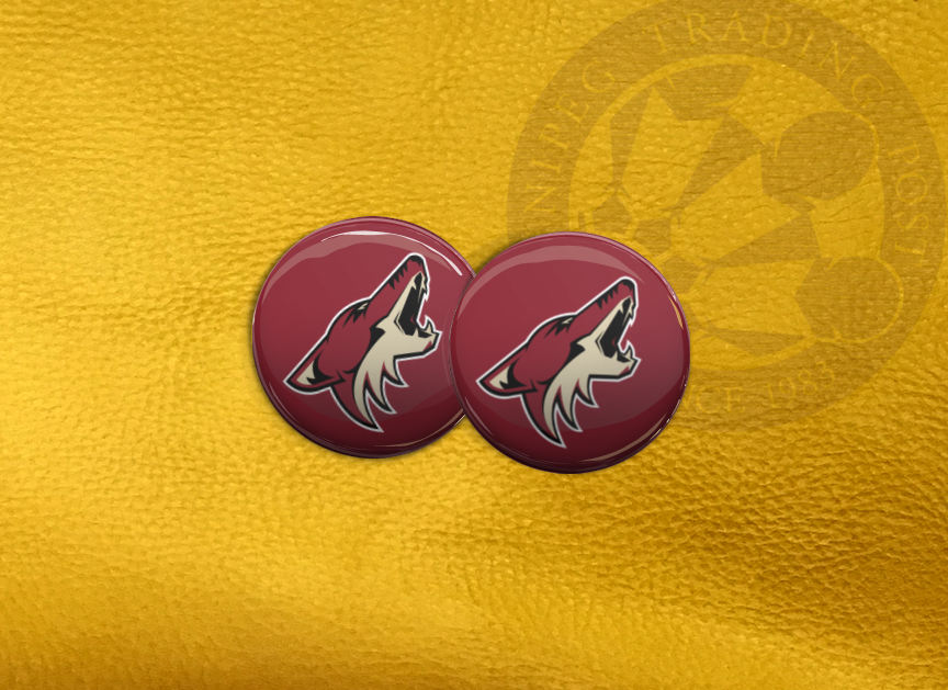 ECAB SP - NHL Arizona Coyotes