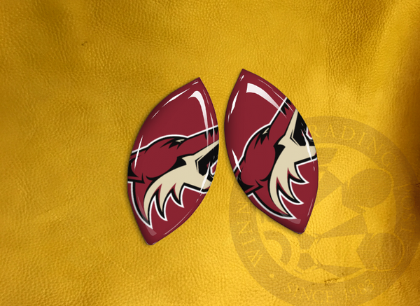 ECAB SP - NHL Arizona Coyotes - 5