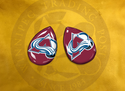 ECAB SP - NHL Colorado Avalanche 2 - 7