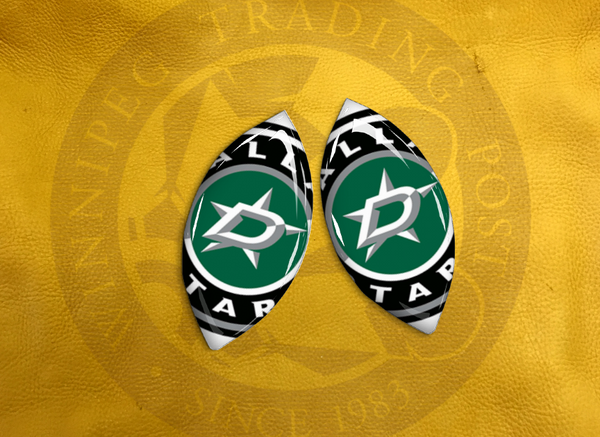 ECAB SP - NHL Dallas Stars 2 - 7