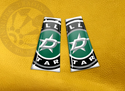 ECAB SP - NHL Dallas Stars 2 - 6