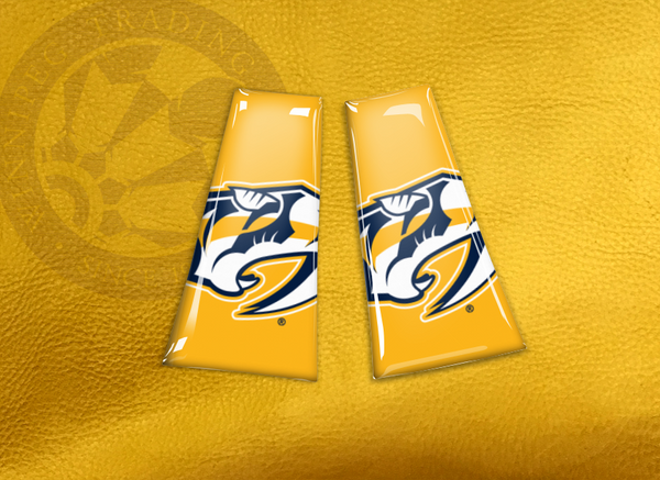 ECAB SP - NHL Nashville Predators 2 - 6