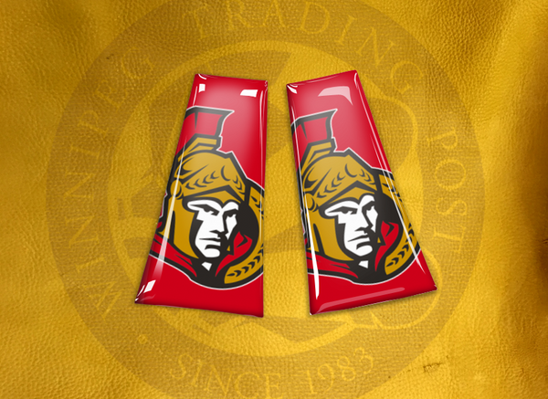 ECAB SP - NHL Ottawa Senators 2 - 6