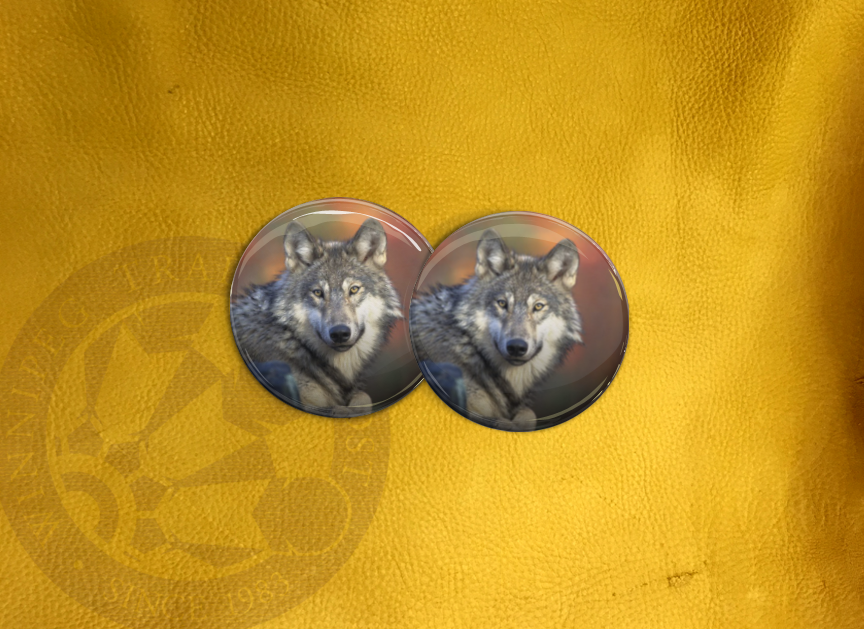 ECAB AN - Wolf 15788