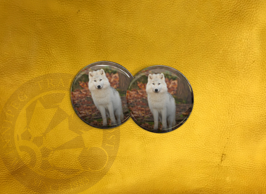 ECAB AN - Wolf 15795