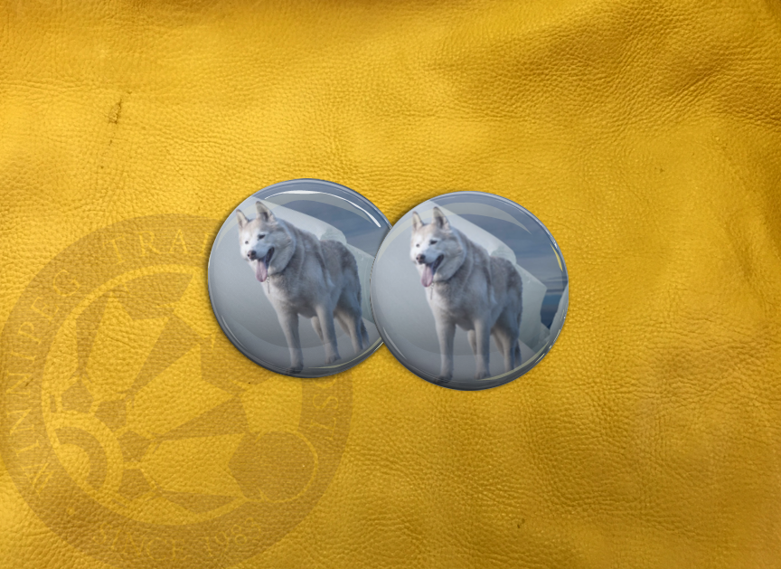 ECAB AN - Wolf 15802