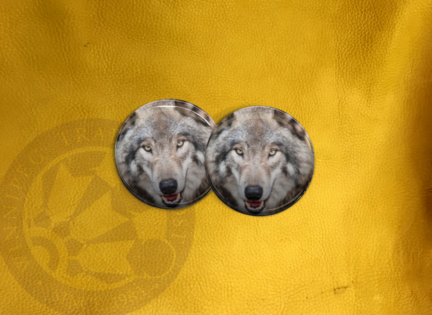 ECAB AN - Wolf 15809